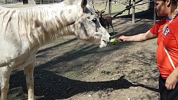 free я весь промок увидев размер коня желаю чтобы мой парень был таким пэти батт эль торо де оро free