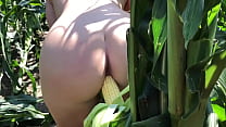 free riley jacobs playing in corn field free