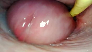 free zh amazing internal pov camera inside her pussy while i fill her with cum free
