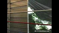 free str sk17502 free